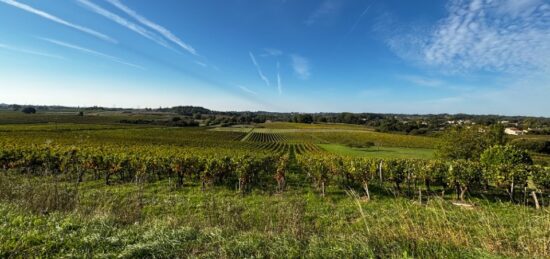 Terrain à bâtir à Camblanes-et-Meynac, Nouvelle-Aquitaine