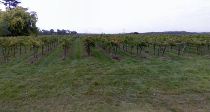 Beychac-et-Caillau Terrain à bâtir - 2339977-11687annonce220251117Gc1i4.jpeg Maisons France Confort