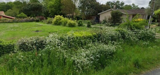 Terrain à bâtir à , Gironde