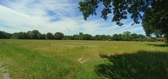 Terrain à bâtir à Plaisance-du-Touch, Occitanie