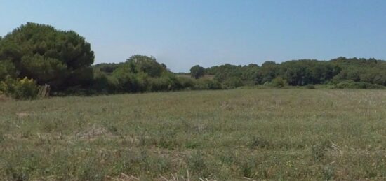 Terrain à bâtir à Meursac, Nouvelle-Aquitaine