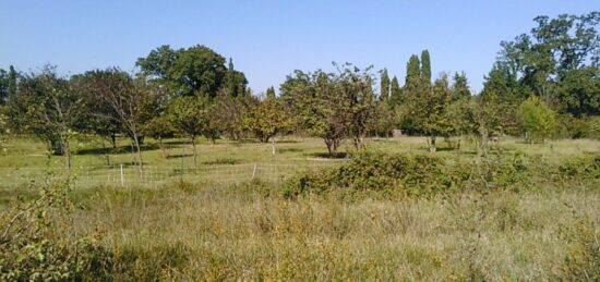 Terrain à bâtir à Villeneuve-lès-Avignon, Occitanie