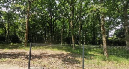 Parentis-en-Born Terrain à bâtir - 2415345-3957annonce120260202ipOfn.jpeg Maisons France Confort