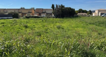 Pierrelatte Terrain à bâtir - 2415597-616annonce220260202afqyA.jpeg Maisons France Confort