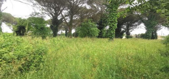 Terrain à bâtir à Langon, Nouvelle-Aquitaine