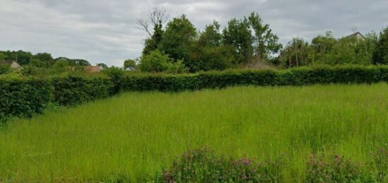 Terrain à bâtir à Caffiers, Hauts-de-France