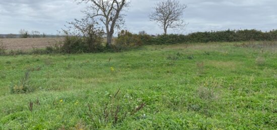 Terrain à bâtir à , Charente-Maritime