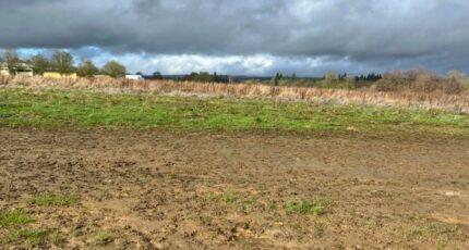 Cerisé Maison neuve - 2416340-3704annonce1202601227yafx.jpeg Maisons France Confort