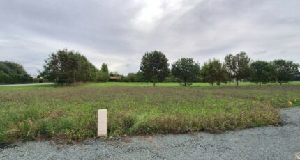 Mornac-sur-Seudre Terrain à bâtir - 2416389-3362annonce120260203l9A1r.jpeg Maisons France Confort