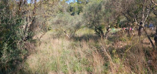 Terrain à bâtir à , Var