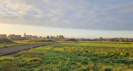 Mons-en-Pévèle Terrain à bâtir - 2416561-11632annonce320260203O43cx.jpeg Maisons France Confort