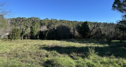 Carnoules Maison neuve - 2417338-4590annonce120260203HDb40.jpeg Maisons France Confort