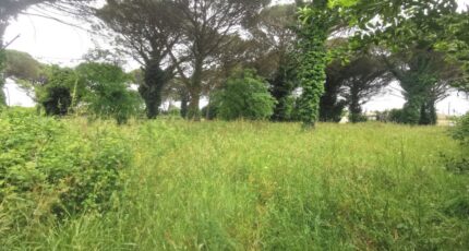 Langon Maison neuve - 2415662-9573annonce120260202NgadJ.jpeg Maisons France Confort