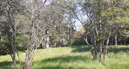 Saint-Bonnet-en-Champsaur Terrain à bâtir - 2411670-7183annonce120260129pMBo9.jpeg Maisons France Confort