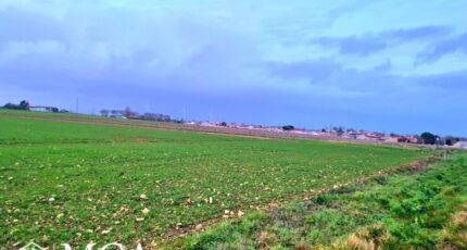 Angliers Maison neuve - 2417658-6087annonce120260203GW9Oy.jpeg Maisons France Confort