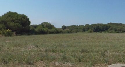 Meursac Terrain à bâtir - 2417694-7092annonce120260204m4LI9.jpeg Maisons France Confort