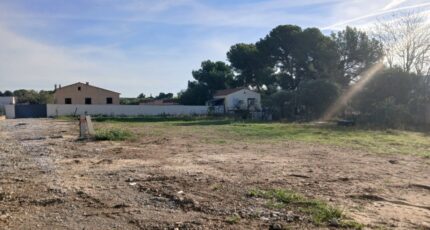 La Fare-les-Oliviers Maison neuve - 2417997-11680annonce1202602044OQCh.jpeg Maisons France Confort