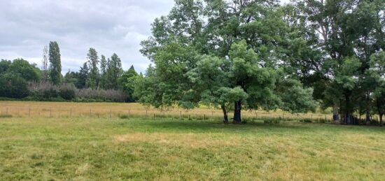 Terrain à bâtir à Ménesplet, Nouvelle-Aquitaine