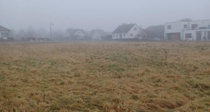 Sundhoffen Terrain à bâtir - 2418051-5767annonce1202602046qyRn.jpeg Maisons France Confort