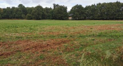 Le Barp Terrain à bâtir - 2418298-3957annonce1202602044zukx.jpeg Maisons France Confort