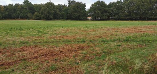 Terrain à bâtir à Le Barp, Nouvelle-Aquitaine