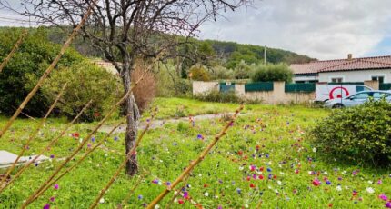 Solliès-Pont Terrain à bâtir - 2418272-9707annonce220260204RletG.jpeg Maisons France Confort
