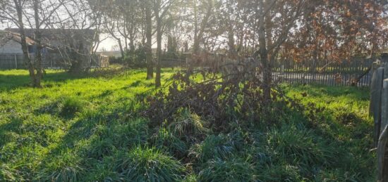 Terrain à bâtir à Sanguinet, Nouvelle-Aquitaine