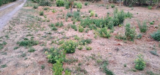 Terrain à bâtir à , Bouches-du-Rhône
