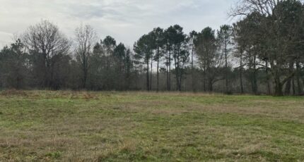 Le Teich Terrain à bâtir - 2418934-11311annonce120260205scWse.jpeg Maisons France Confort