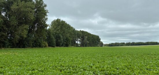 Terrain à bâtir à , Pas-de-Calais