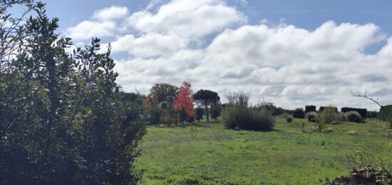 Terrain à bâtir à Saint-Seurin-de-Cadourne, Nouvelle-Aquitaine