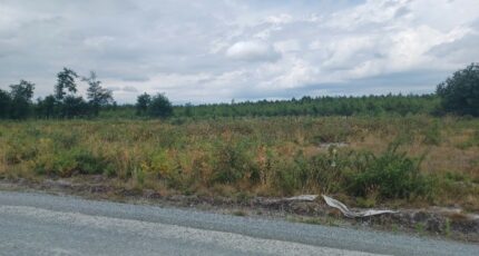 Mios Maison neuve - 2419394-3127annonce1202403212fTVa.jpeg Maisons France Confort