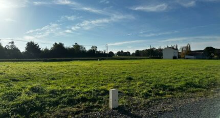 Chantonnay Maison neuve - 2312587-11105annonce1202601019moQQ.jpeg Maisons France Confort