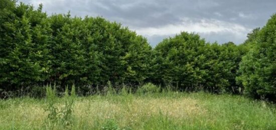 Terrain à bâtir à , Drôme