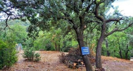 Saint-Montan Maison neuve - 2358996-812annonce120250724nLNKA.jpeg Maisons France Confort