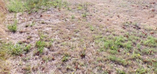 Terrain à bâtir à Le Teich, Nouvelle-Aquitaine