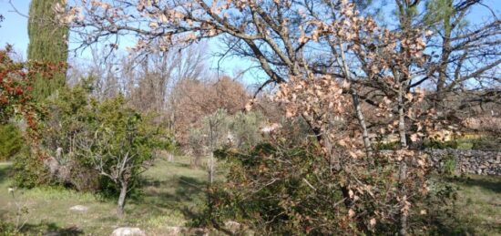 Terrain à bâtir à , Var