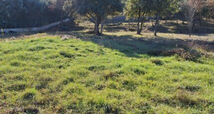 Saint-Paul-lès-Durance Maison neuve - 2419984-6932annonce120260205eNdDO.jpeg Maisons France Confort