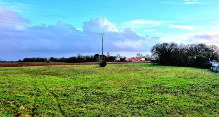 Forges Maison neuve - 2419950-6087annonce22026020582LwZ.jpeg Maisons France Confort