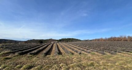 Roumoules Terrain à bâtir - 2419781-4622annonce120260205xPJ7i.jpeg Maisons France Confort