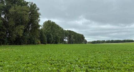 Monchy-le-Preux Maison neuve - 2418869-5719annonce220260204g9Gyt.jpeg Maisons France Confort