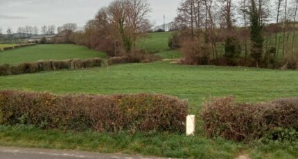 Tingry Maison neuve - 2419778-11072annonce22026020201O84.jpeg Maisons France Confort