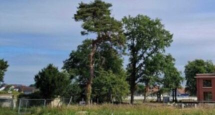 Rang-du-Fliers Maison neuve - 2419919-11072annonce120260205Xwswe.jpeg Maisons France Confort