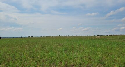 Bourgneuf Terrain à bâtir - 2420152-6087annonce2202602057cqiu.jpeg Maisons France Confort