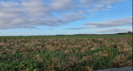 Ballon Terrain à bâtir - 2417692-6087annonce220260204zdLGM.jpeg Maisons France Confort