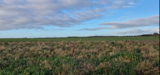 Terrain à bâtir à , Charente-Maritime
