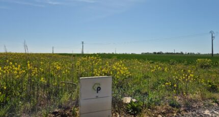 Saint-Médard-d'Aunis Maison neuve - 2420289-6087annonce220260205WgLaz.jpeg Maisons France Confort