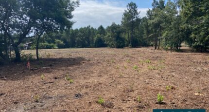 Pontenx-les-Forges Maison neuve - 2420547-5828annonce120250319fnLQ5.jpeg Maisons France Confort