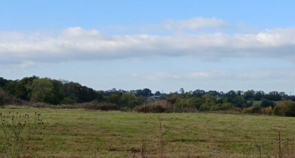 Manerbe Maison neuve - 2421192-11563annonce120251016t2iLc.jpeg Maisons France Confort