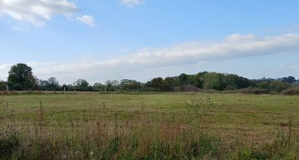 Manerbe Maison neuve - 2421192-11563annonce120251016M01I4.jpeg Maisons France Confort